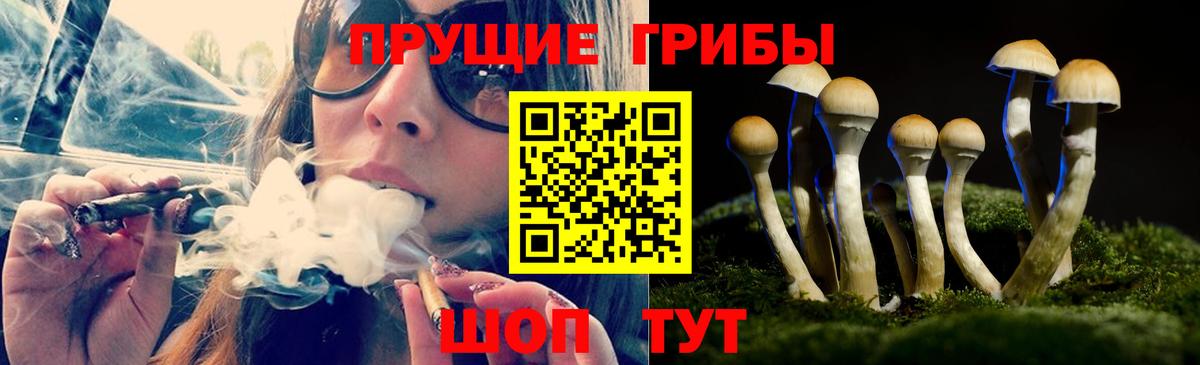 Псилоцибиновые грибы GOLDEN TEACHER  Псилоцибиновые грибы Psilocybe  Вход с VPN  Малоярославец 